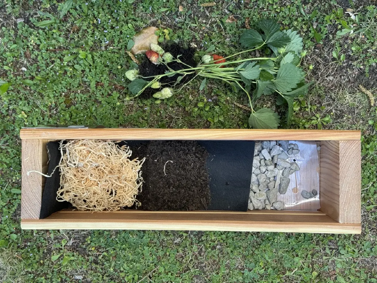 ทฤษฎีแห่งความสุข : สุข….ปลูก…สตรอว์เบอร์รี โดย ธันย่า - ธันยลักษณ์ พรหมมณี