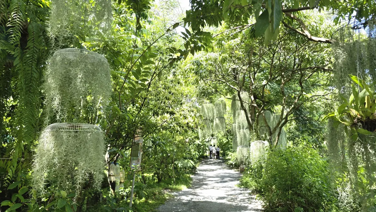 ท่องเที่ยววิถีใหม่ ปั่น ‘จักรยานน้ำ’ คลองบางหลวง ฟื้นฟูสายน้ำ