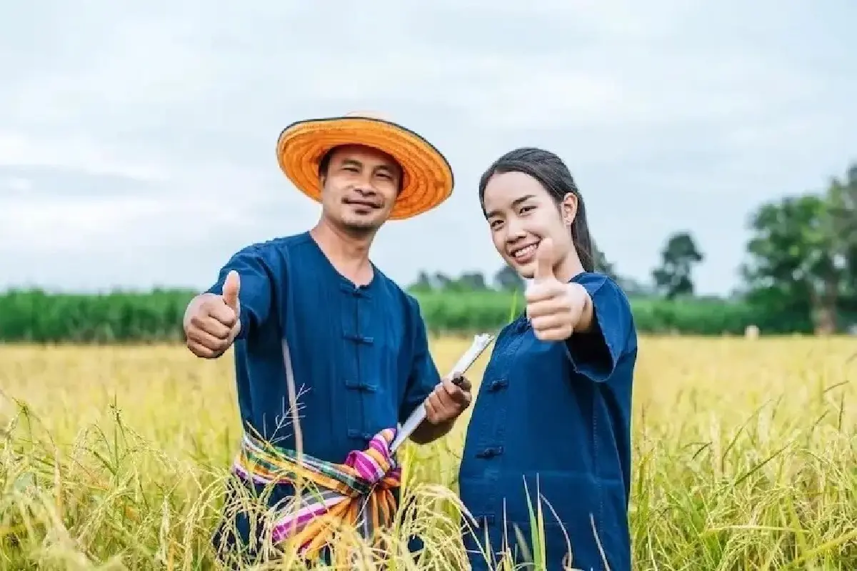 GDP เกษตร Q1/69 ขยายตัว 2.4% น้ำดีหนุนผลิต คาดทั้งปีโต 0.5-1.5%,