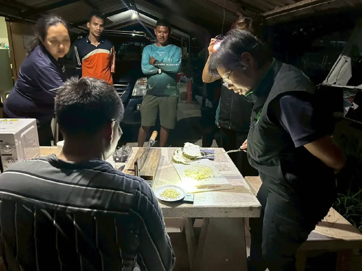 ตั้งจุดตรวจสกัดทุเรียนอ่อน คุมเข้มคุณภาพก่อนออกสู่ตลาด