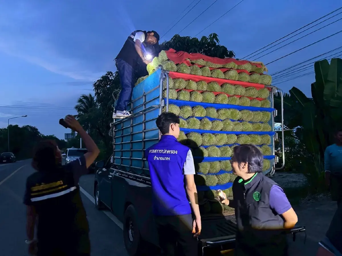 ตั้งจุดตรวจสกัดทุเรียนอ่อน คุมเข้มคุณภาพก่อนออกสู่ตลาด