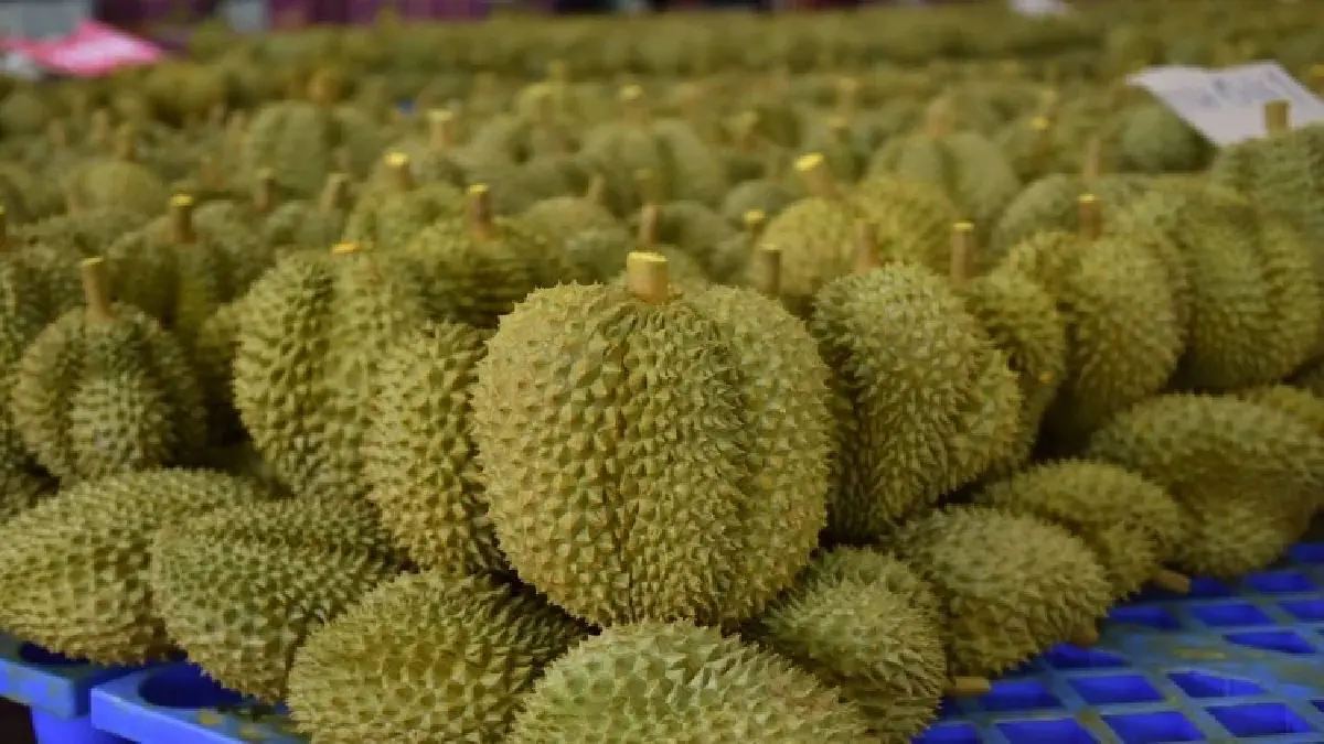 'ปิยะรัฐชย์' รมช.เกษตรฯ เชือดล้งจันทบุรี ฝืนส่งออกทุเรียน 3 ตู้