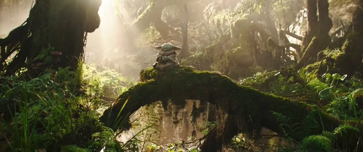 ทำความรู้จัก ‘เบบี้โยดา’ ก่อนดู The Mandalorian and Grogu