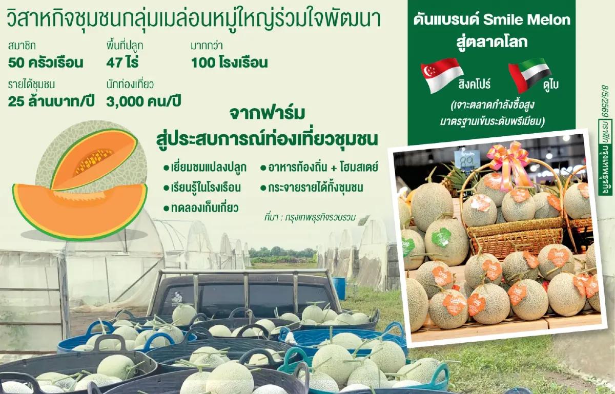 วิกฤติราคาข้าวดันชาวนาอยุธยาเปลี่ยนเกม ปลูกเมล่อนญี่ปุ่นโกยรายได้ตลาดโลก