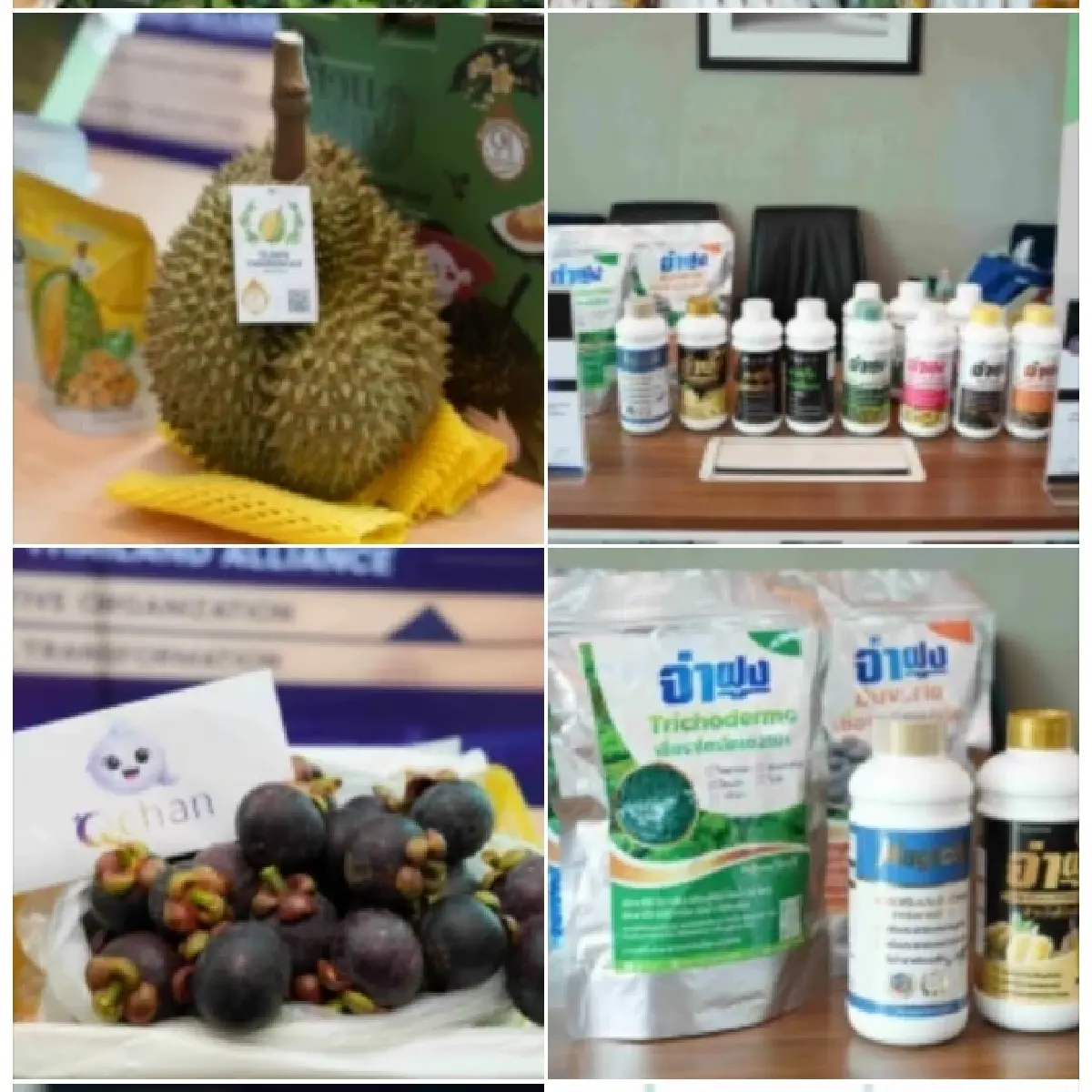ปั้นโมเดล GIFT เชื่อม AgTech ส่งนวัตกรรมสกัดผลไม้ล้นตลาด