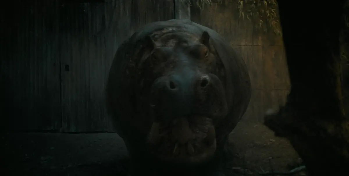 เมื่อฮิปโปที่ไม่ใช่ หมูเด้ง คือตัวร้าย “Hungry มันเด้งขึ้นมาแดก”