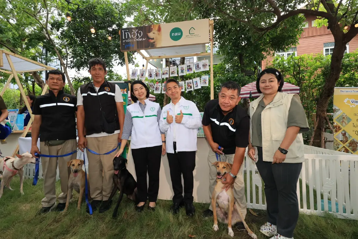 ‘BKK Adopter’ โครงการหาบ้านให้หมาจรของ ‘กทม.’ สร้างสังคมแห่งความเมตตา-รับผิดชอบอย่างยั่งยืน