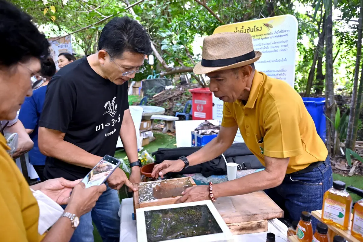 บางจากฯ หนุน 'วันผึ้งโลก ประจำปี 69 ครั้งที่ 5' รณรงค์อนุรักษ์ธรรมชาติ ดูแลระบบนิเวศ