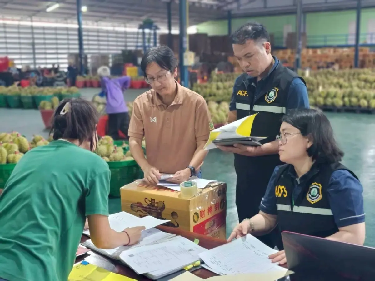 กรมวิชาการเกษตรลุยตรวจล้งทุเรียนด้อยคุณภาพ มั่นใจมาตรฐานส่งออกจีน