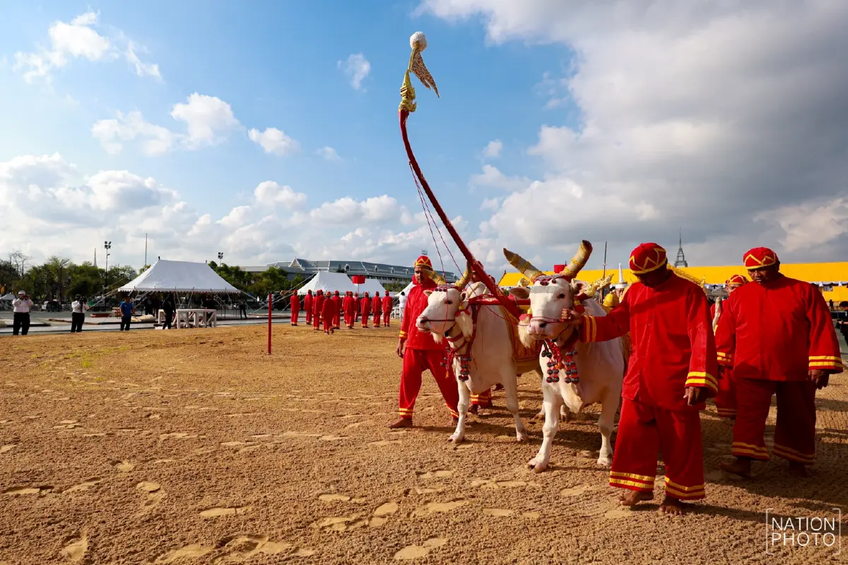 ภาพชุด ซ้อมใหญ่ งานพระราชพิธีพืชมงคลจรดพระนังคัลแรกนาขวัญ 2569