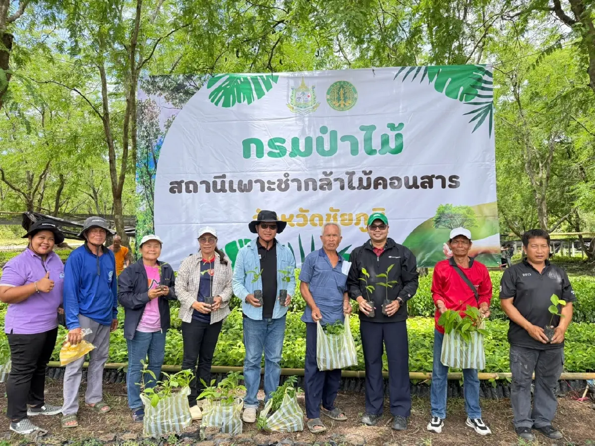 แจกต้นไม้ฟรี ไม่มีอั้น กล้าไม้ แข็งแรงดี พร้อมลงดินปลูก ลดโลกร้อน