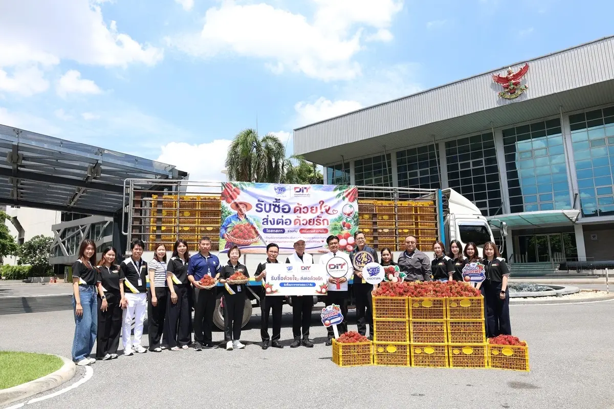 'OSP' รับซื้อเงาะ 2.7 ตัน จากเกษตรกร  แก้ปัญหาผลผลิตล้นตลาด-กระจายรายได้
