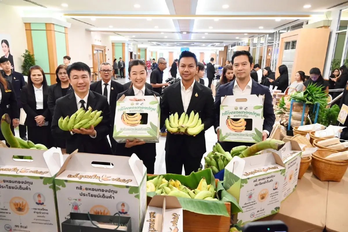 กดเอฟเลย Co-op Eazy แพลตฟอร์มใหม่ ส่งตรงของดี GI ทั่วไทย