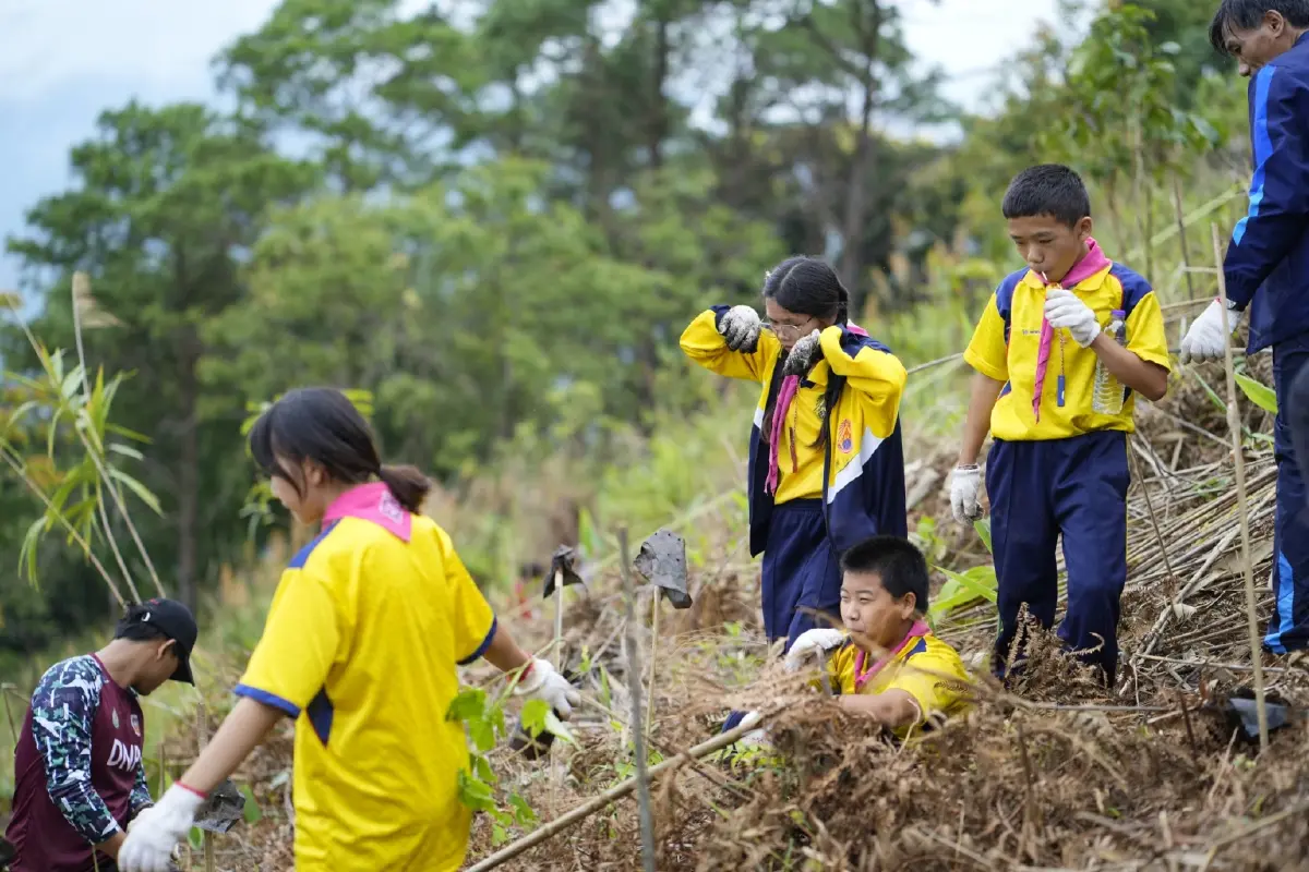 'ป่าดี ครีเอชัน' ผนึก FORRU มช. ชูโมเดลปลูกป่าวิทยาศาสตร์ ตอบโจทย์นักลงทุน