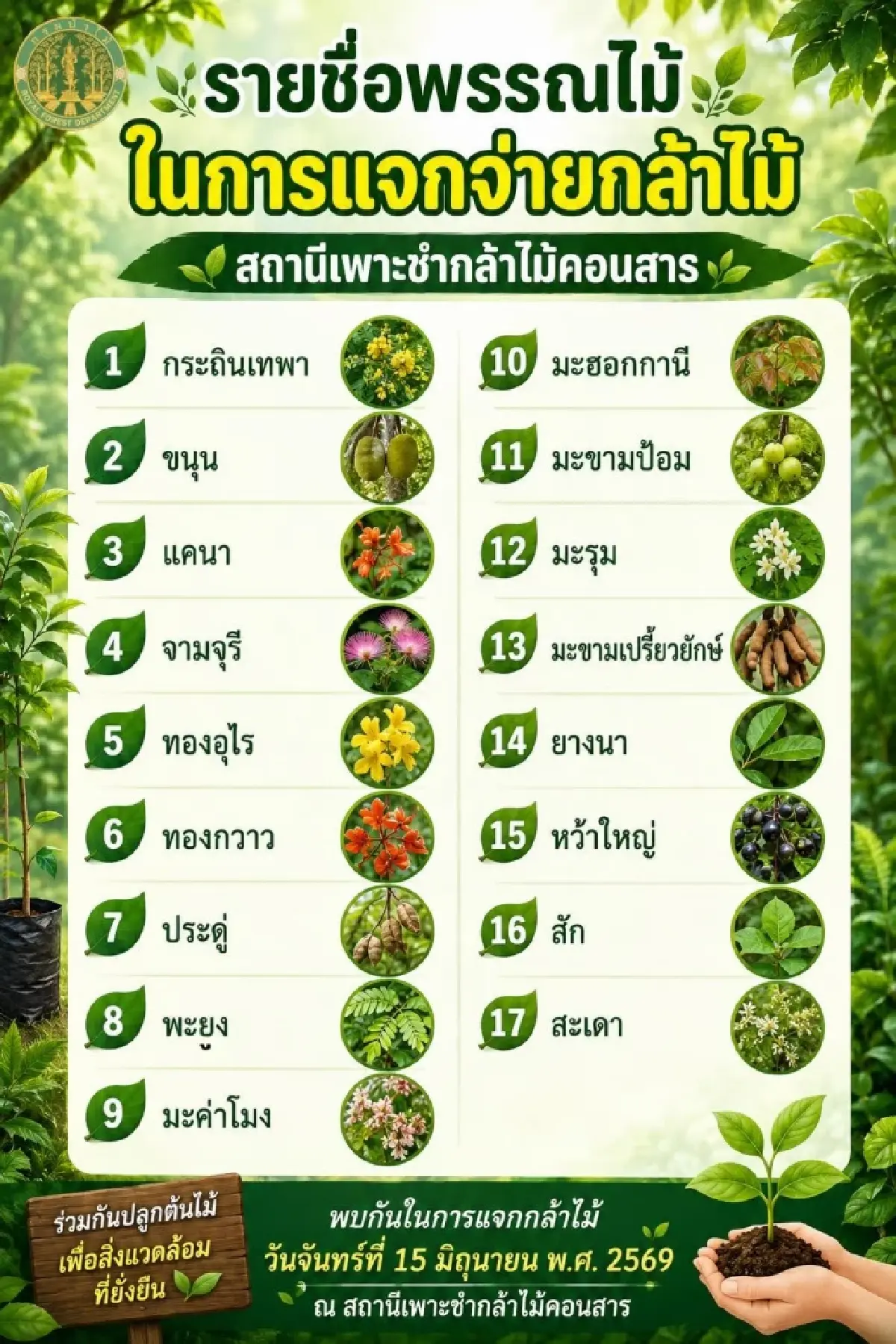แจกต้นไม้ฟรี ไม่มีอั้น กล้าไม้ แข็งแรงดี พร้อมลงดินปลูก ลดโลกร้อน