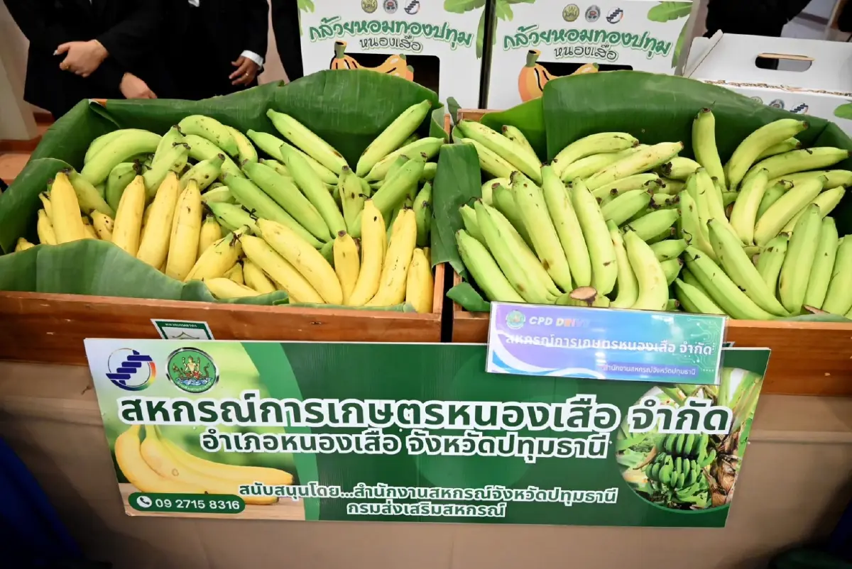 เกษตรฯ เร่งสปีดกวาดล้างหนี้ ปูพรมยกระดับสหกรณ์ทั่วประเทศสู้ศึกยุคดิจิทัล