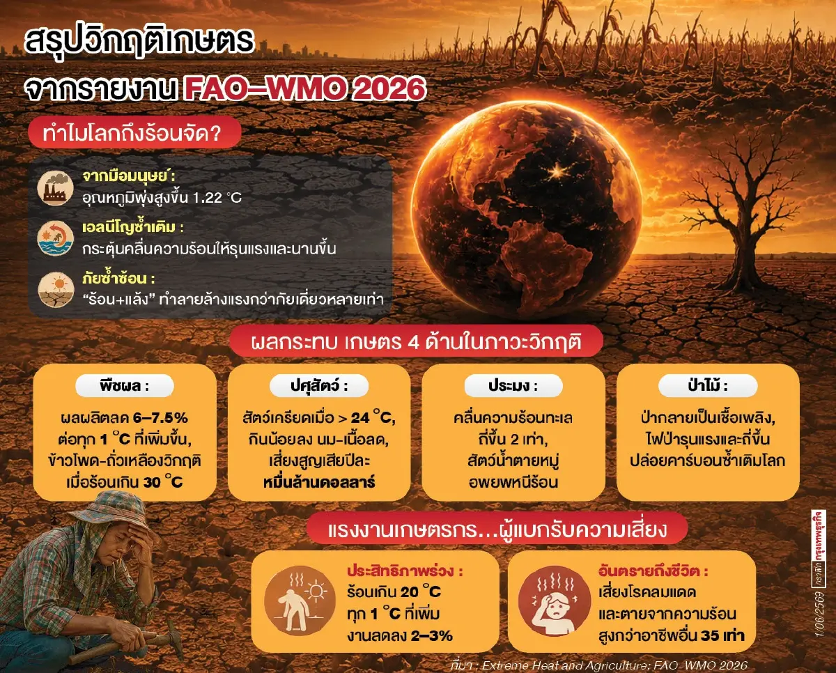 FAO–WMO เตือน 'ความร้อนสุดขั้ว' เขย่าระบบเกษตร ผลผลิตดิ่ง คุกคามชีวิตแรงงาน
