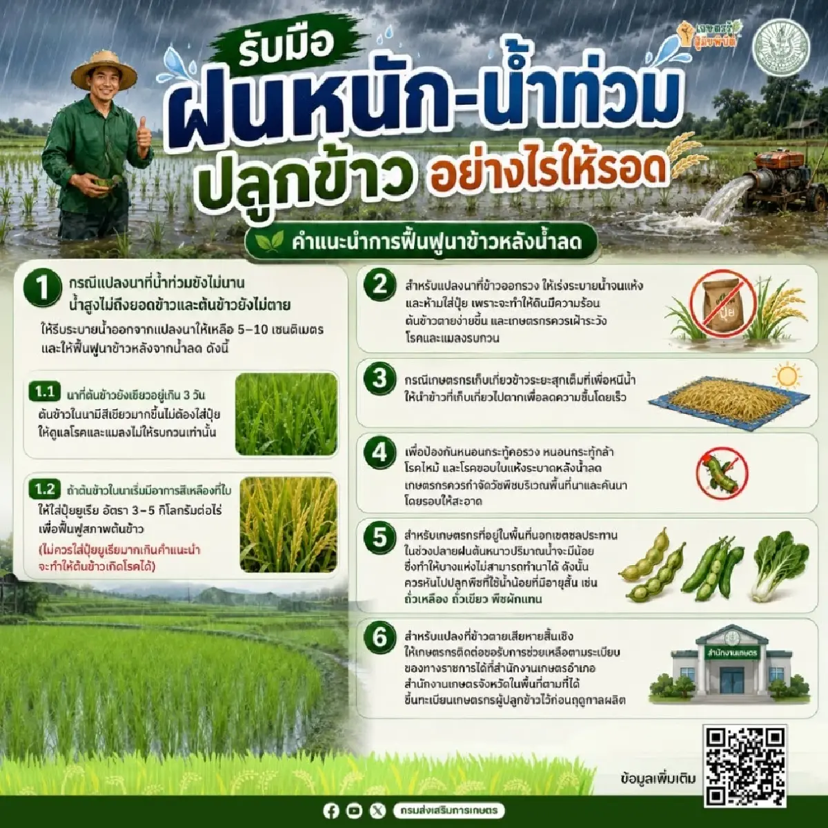 ฝนตกหนัก–น้ำท่วม แจกสูตรลับ! ปลูกข้าวอย่างไรให้รอด ไม่ขาดทุน