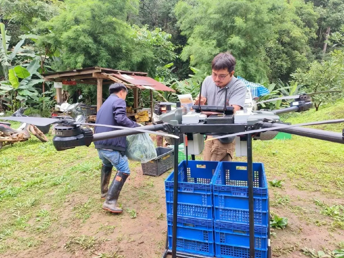 ปลดล็อกโลจิสติกส์ โดรนขนผักลงดอย ลดช้ำ ลดเสีย เพิ่มรายได้