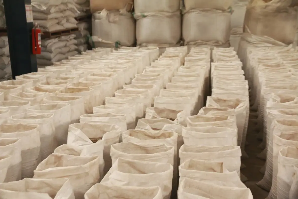 โรงงานปลาป่นสมุทรสาครเปิดรับซื้อปลาหมอคางดำทั่วประเทศ