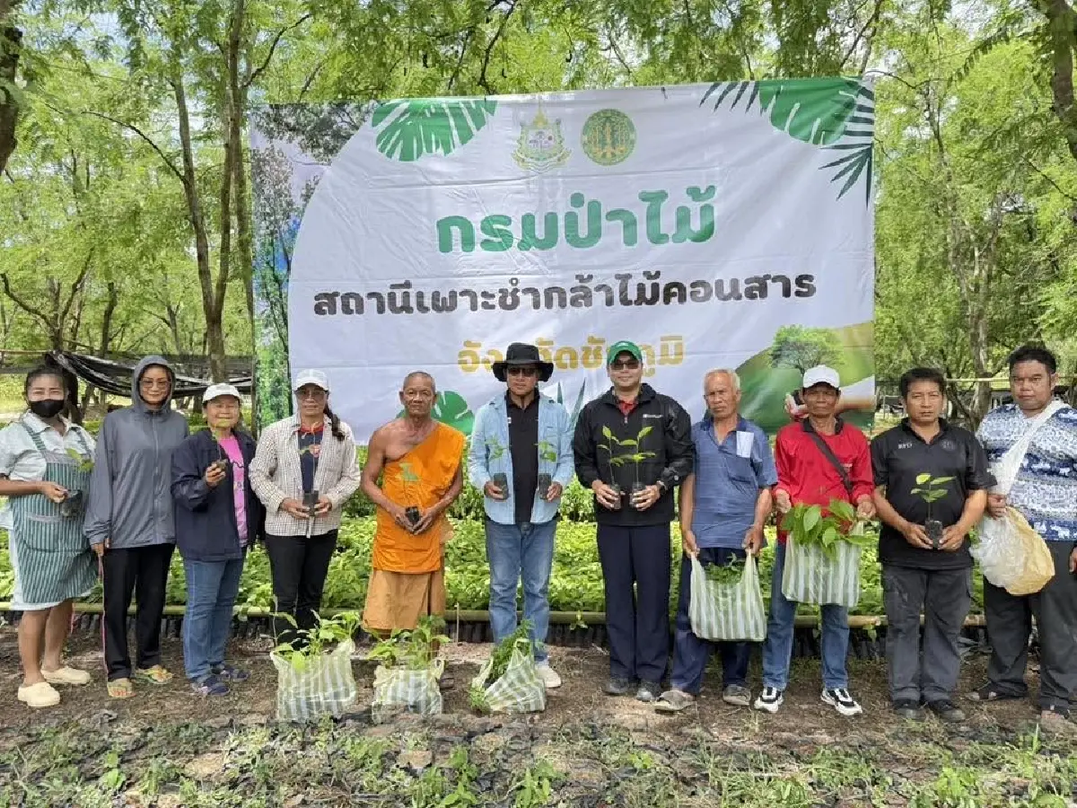 แจกต้นไม้ฟรี ไม่มีอั้น กล้าไม้ แข็งแรงดี พร้อมลงดินปลูก ลดโลกร้อน