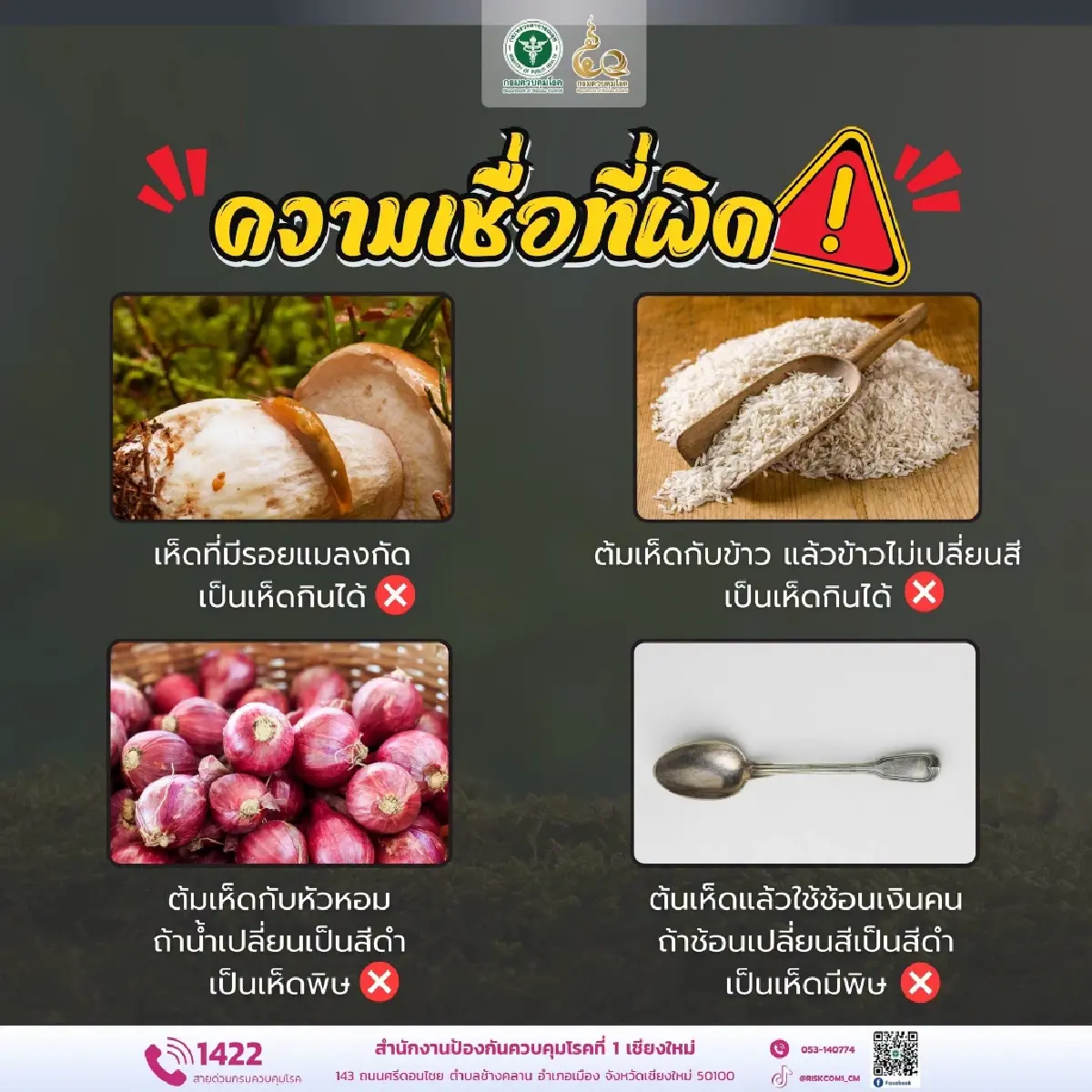 เตือนสายเก็บเห็ด ระวัง “เห็ดพิษ” หน้าฝน แนะวิธีเช็ก สีฉูดฉาด-หมวกเห็ดมีเกล็ด ห้ามกิน!