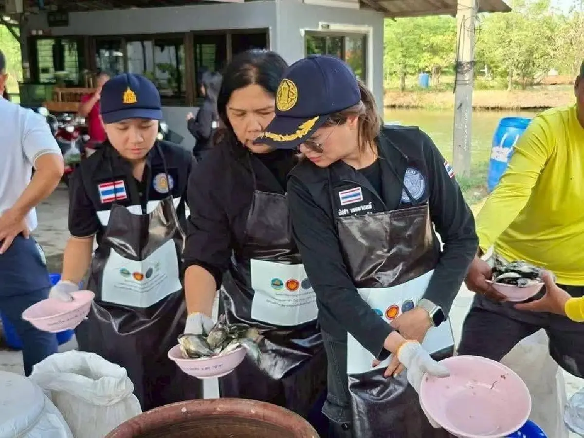 ประมง งัดแผน SARA เคลียร์ปลาหมอคางดำ 8.3 ล้านกิโลฯ ฟื้นระบบนิเวศ