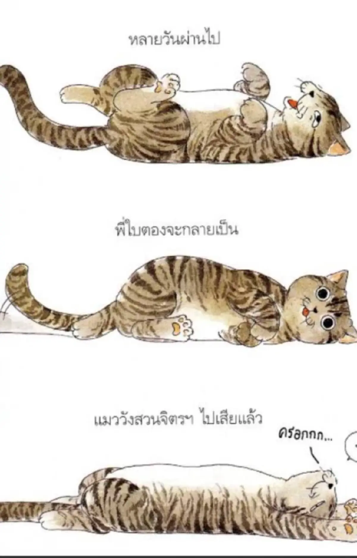 จาก 7.8 ล้านวิว สู่ปรากฏการณ์ "เล็กปั้นจิ๋ว" พลิกโฉมเมืองสุขสยาม