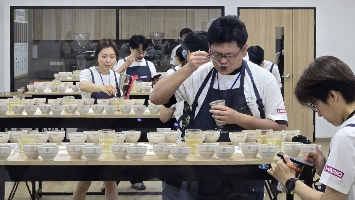 ประกาศผล ประกวดเมล็ดกาแฟไทย 'Cup of Excellence Thailand 2026'