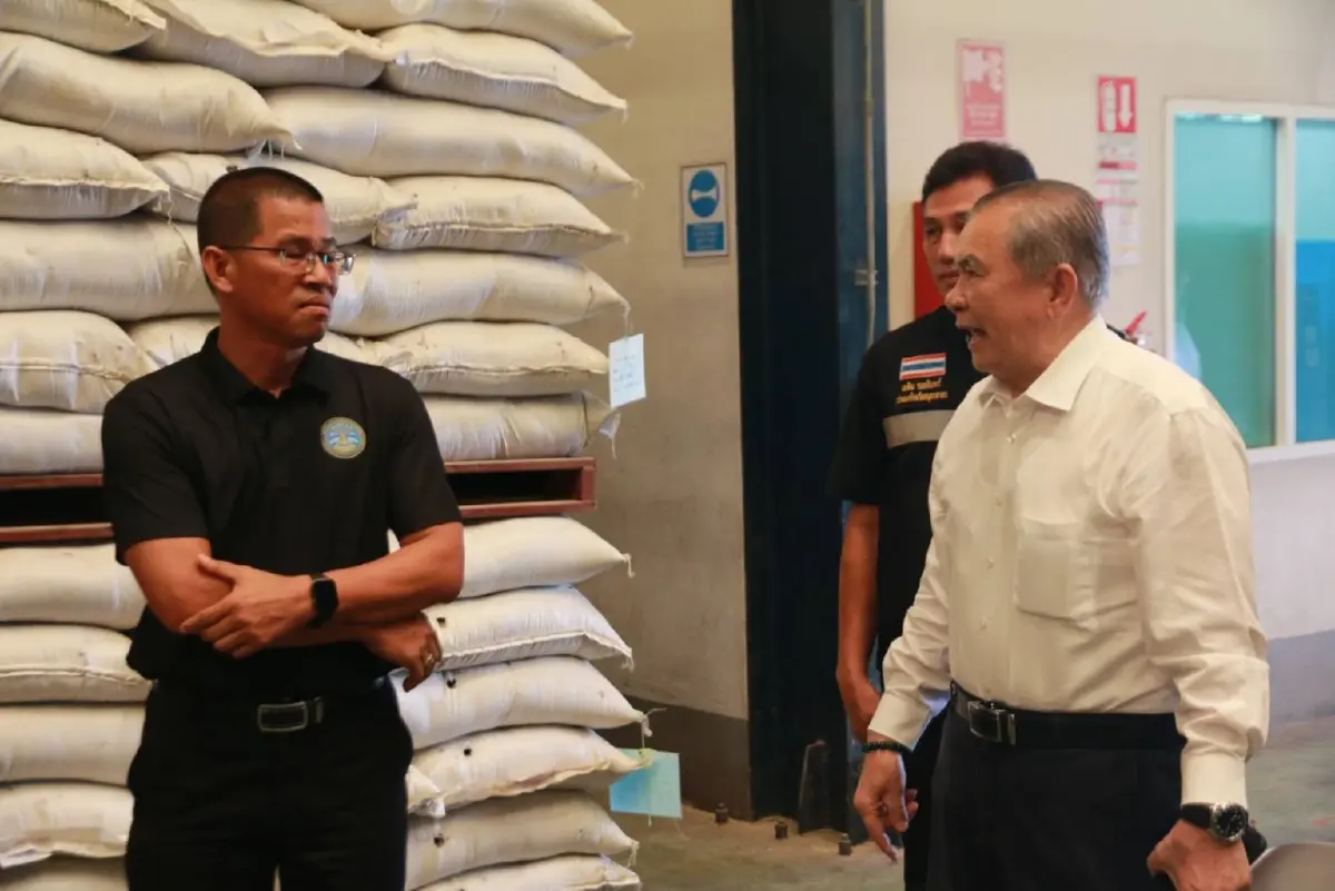 โรงงานปลาป่นสมุทรสาครเปิดรับซื้อปลาหมอคางดำทั่วประเทศ