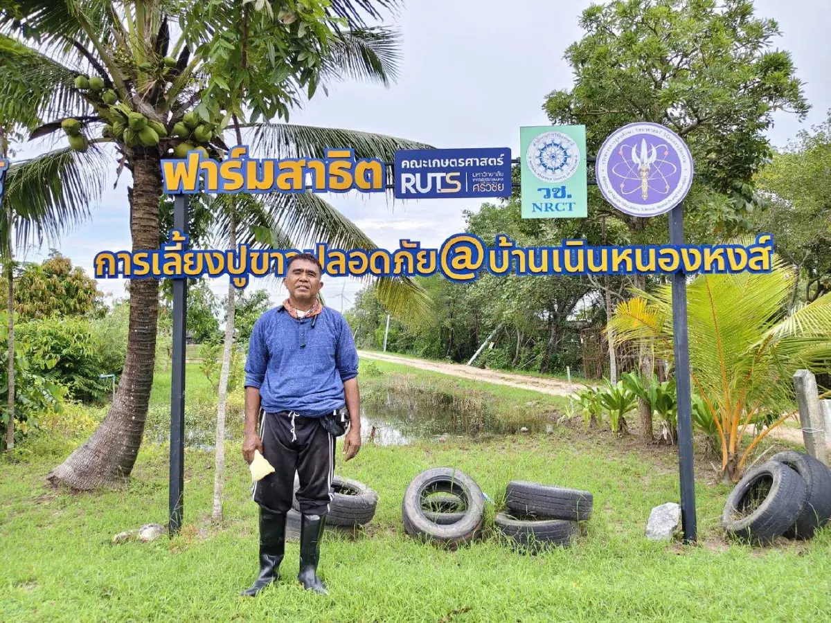 ประมงเมืองคอนไอเดียเจ๋ง เปลี่ยนปลาหมอคางดำเป็นเหยื่อปูขาว