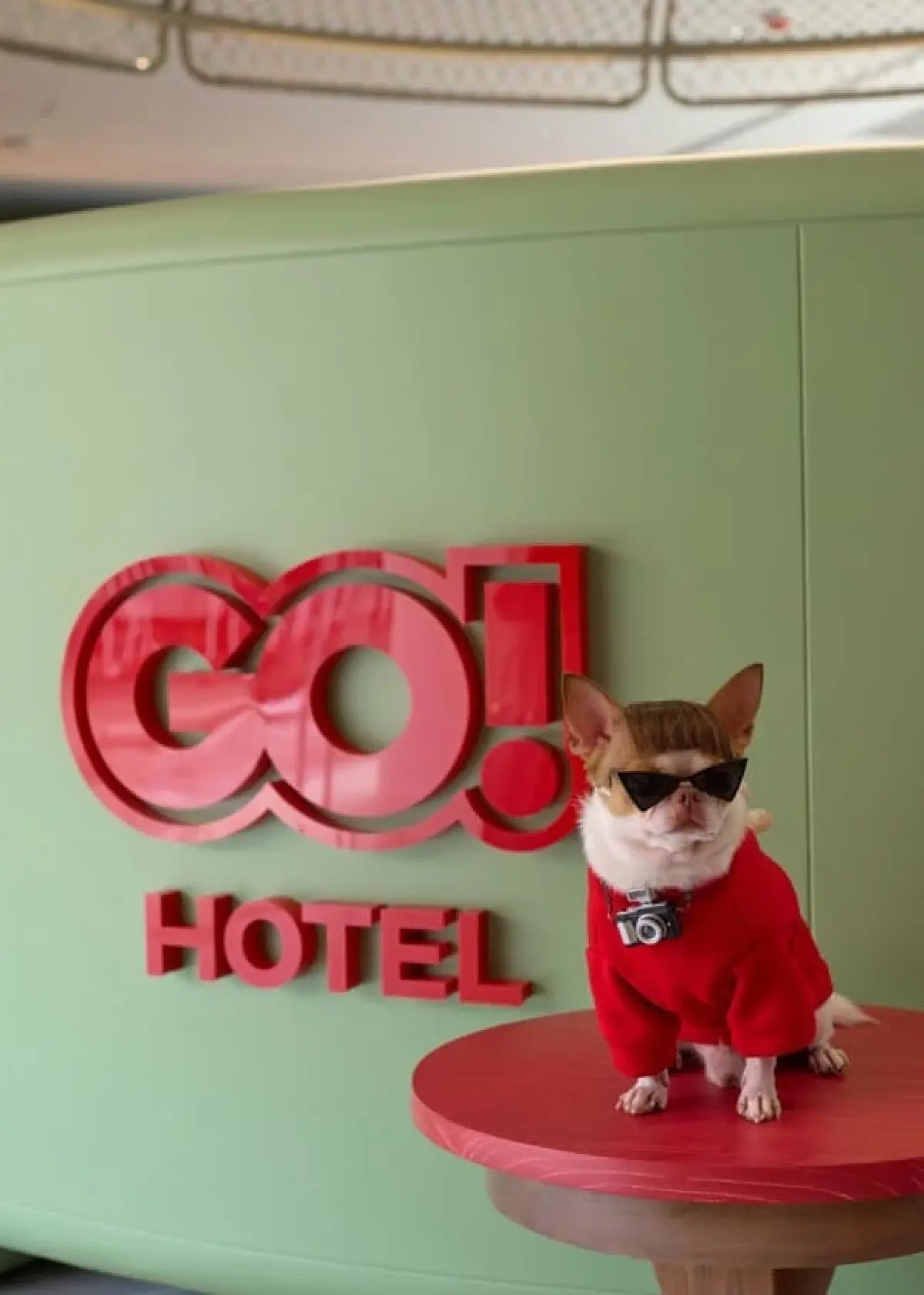 ‘GO Hotel นครสวรรค์’ ดึง ‘แม่ฮาย อาภาพร’ โปรโมตโรงแรมใหม่ในเครือเซ็นทรัลพัฒนา