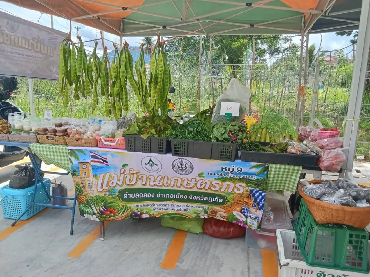 7 – Eleven 45 สาขา เปิดหน้าร้านให้เกษตรกรตั้งแผงขายฟรี ช้อปสดๆ ถึง ส.ค.นี้