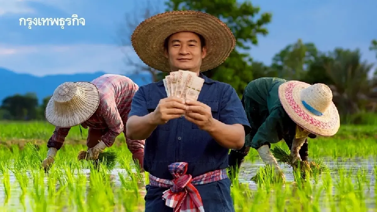 รีบเช็ก! วิธีขึ้นทะเบียนเกษตรกร 2569/70 รักษาสิทธิ์รับเงินเยียวยา