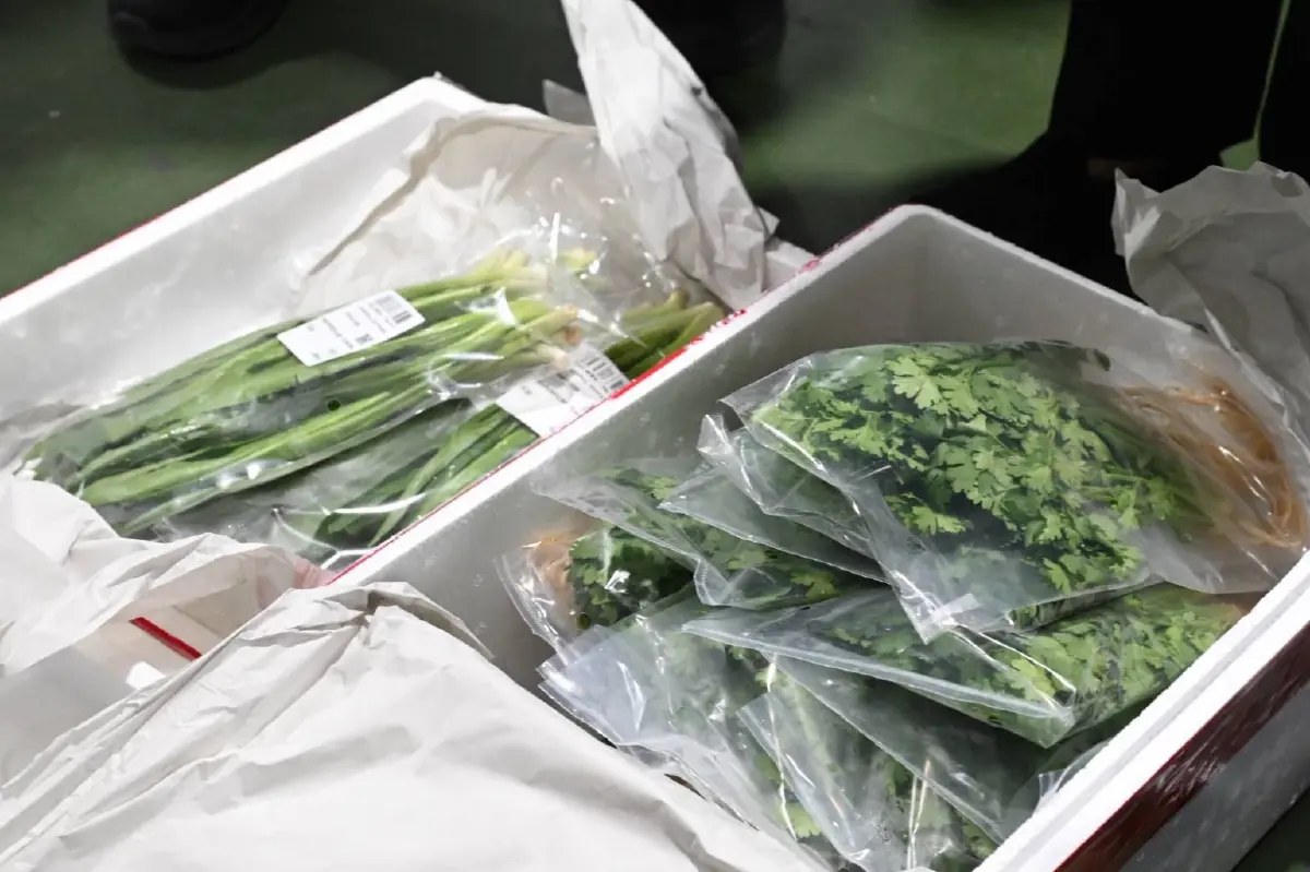 เกษตรฯ ยกระดับด่านสุวรรณภูมิ ตรึงมาตรฐานส่งออกแสนล้าน