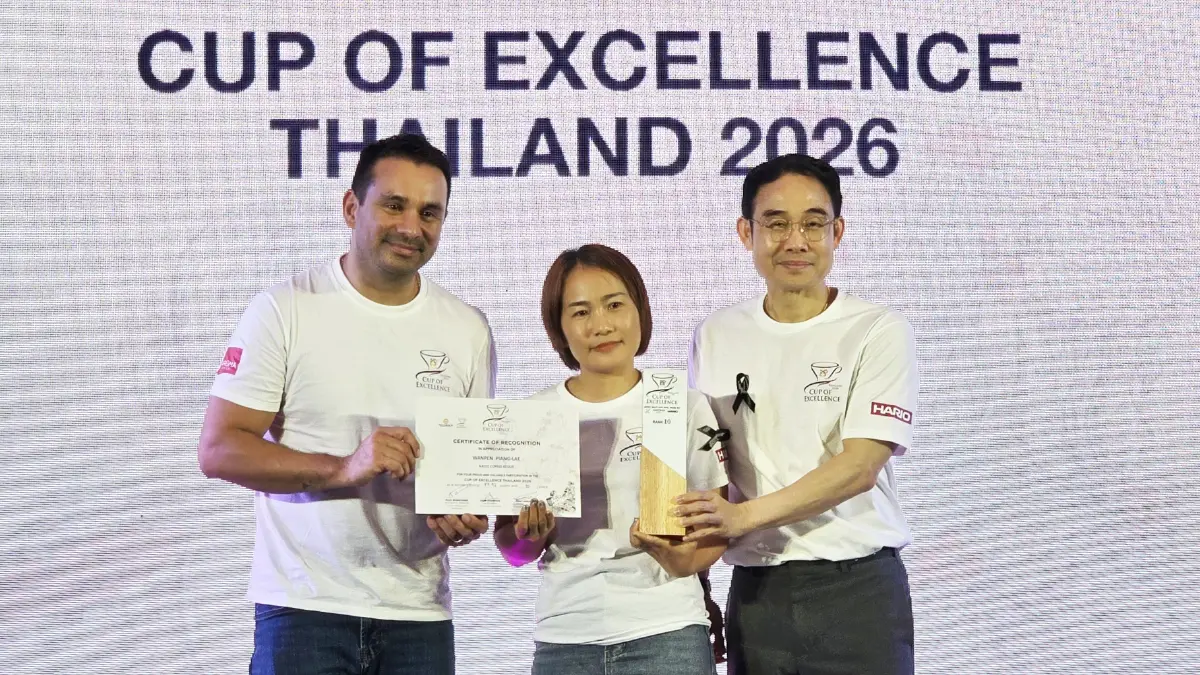 ประกาศผล ประกวดเมล็ดกาแฟไทย 'Cup of Excellence Thailand 2026'