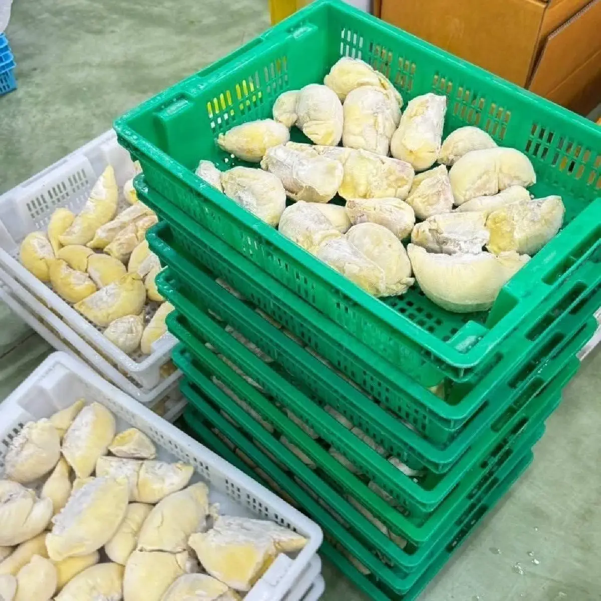 บุกจับ 'ทุเรียนแช่เยือกแข็ง' เถื่อน ยึดของกลาง 25 ตัน มูลค่า 8 ล้าน