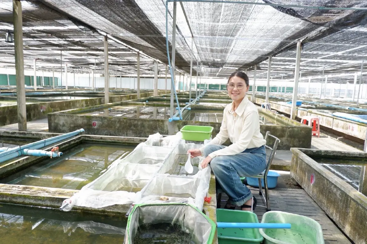 ไทยทำได้ เพาะ ‘กุ้งแคระ ‘สายพันธุ์ใหม่สำเร็จ มุ่งเบอร์1เอเชีย