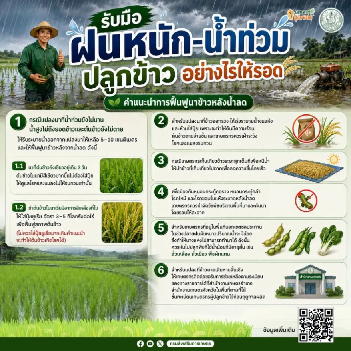 เช็กเงินเข้า ธ.ก.ส. เตรียมรับเงินไร่ละ 1000 ล่าสุด ชาวนาปี 68/69