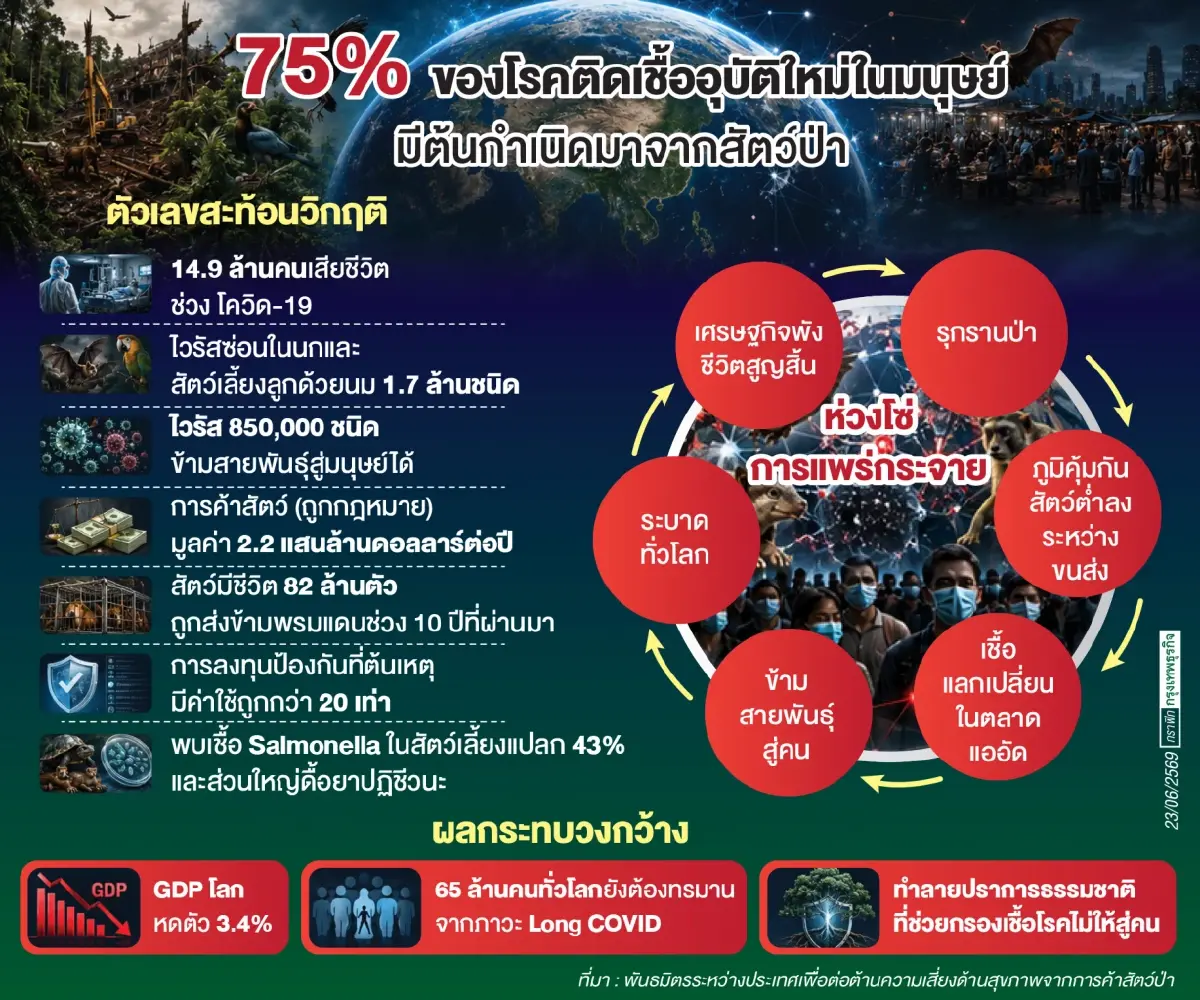 ธุรกิจค้าสัตว์ป่า จุดเสี่ยงโรคระบาดครั้งใหม่ ไวรัสกว่า 8 แสนชนิดอาจข้ามสู่มนุษย์