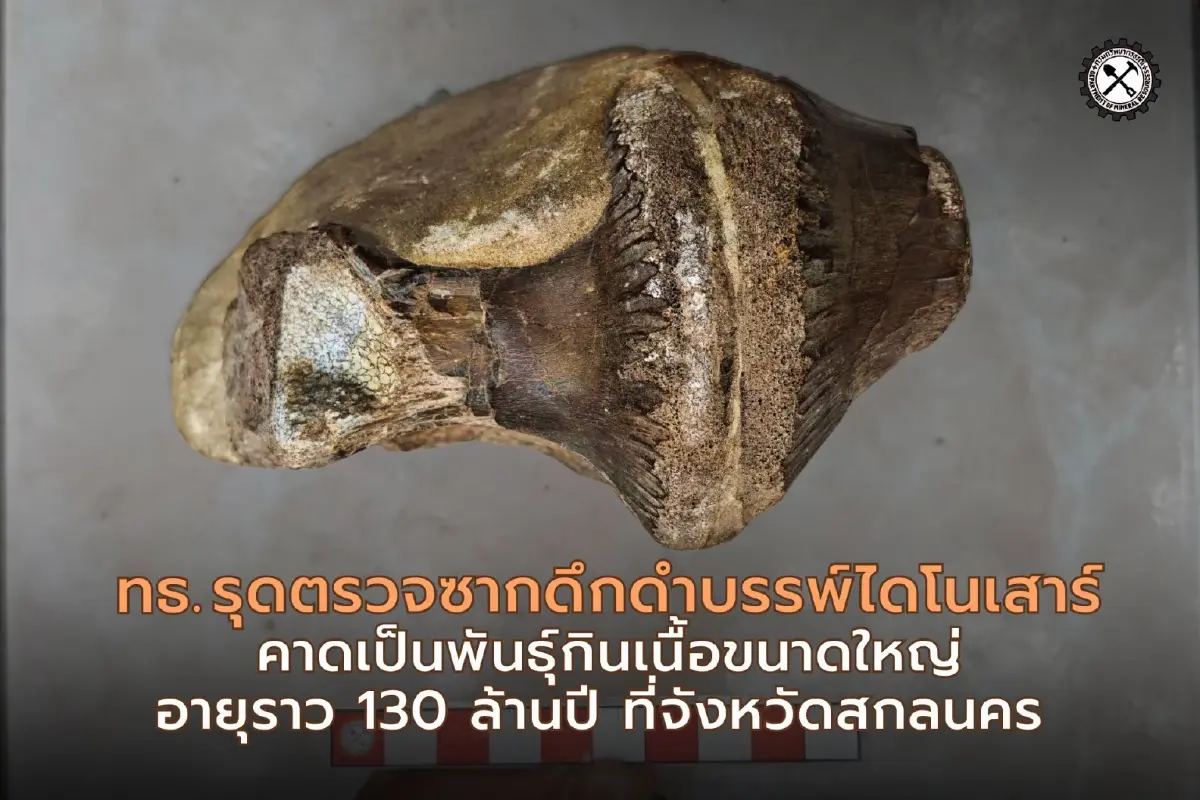 อายุ 130 ล้านปี รุดตรวจซากดึกดำบรรพ์ไดโนเสาร์ พันธุ์กินเนื้อขนาดใหญ่