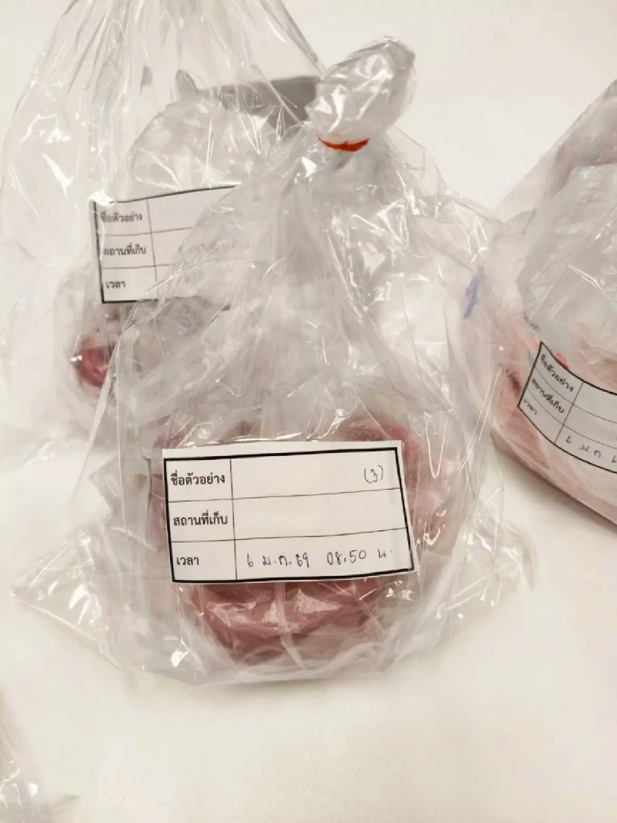 กรมวิทย์สุ่มตรวจ ‘หมูดิบ’ ตลาดในอุบล พบปนเปื้อน ‘เชื้อทำหูดับ’ ถึง 83%