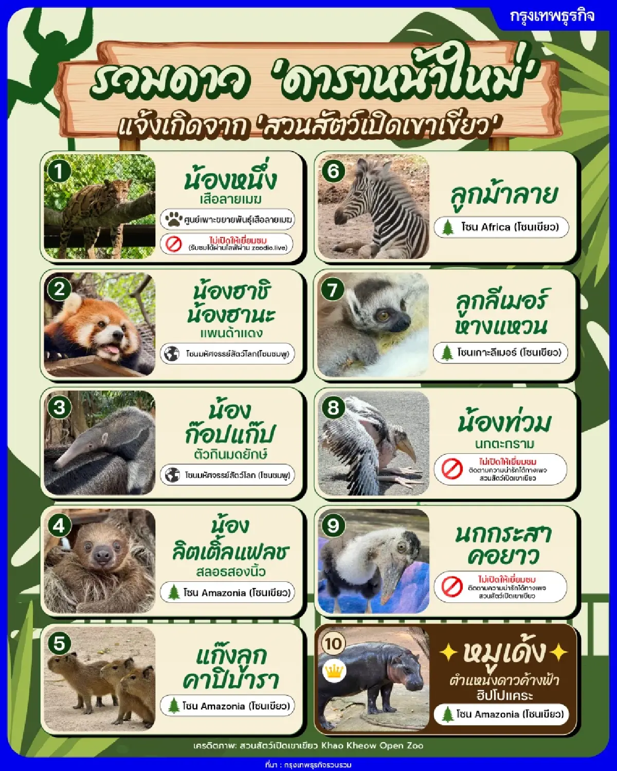 รวมดาว ‘ดาราหน้าใหม่’ สัตว์เพิ่งแจ้งเกิดจาก ‘สวนสัตว์เปิดเขาเขียว’