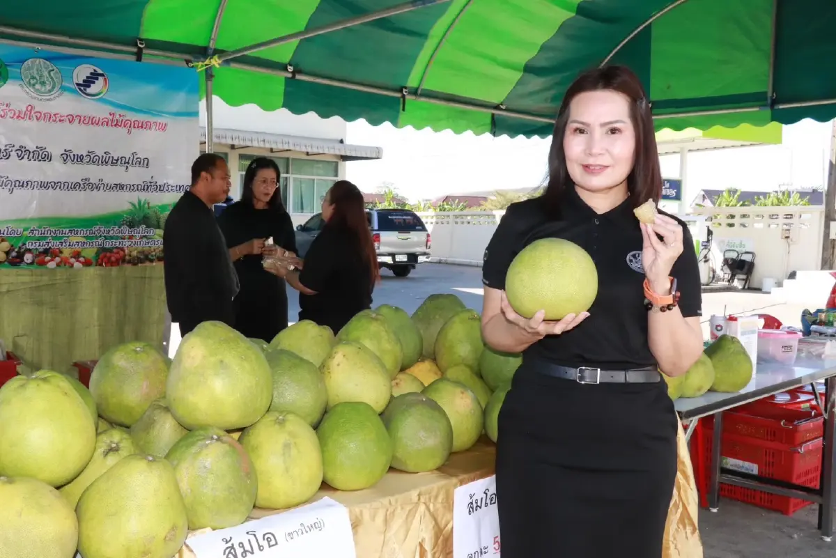 กดเอฟเลย Co-op Eazy แพลตฟอร์มใหม่ ส่งตรงของดี GI ทั่วไทย