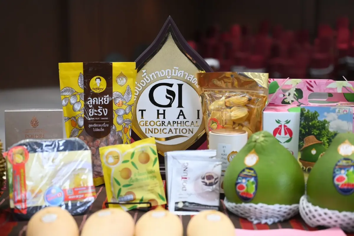 กรมทรัพย์สินทางปัญญา นำสินค้า GI ไทยเปิดตลาเดเซี่ยงไฮ้ จับคู่ธุรกิจกับผู้นำเข้าจีน ขยายตลาดผลไม้ GI คุณภาพสู่ผู้บริโภคแดนมังกร