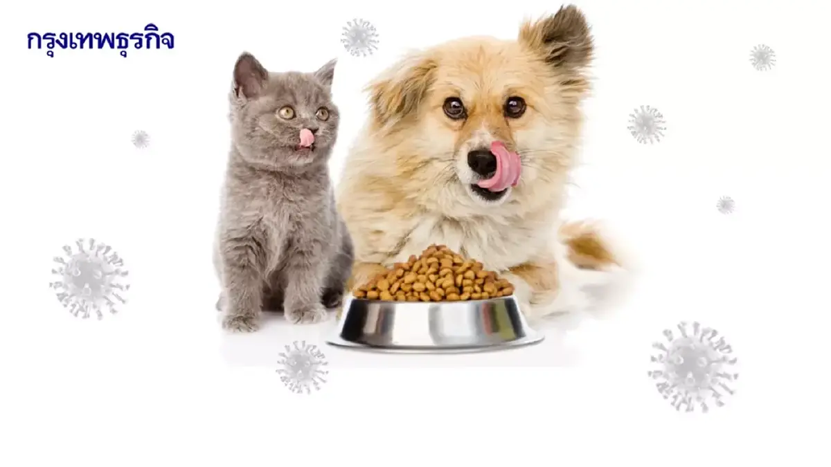 ทูตพาณิชย์ เซี่ยงไฮ้ ชี้ เศรษฐกิจสัตว์เลี้ยงจีนบูม รับเทรนด์ “Pet-Friendly”