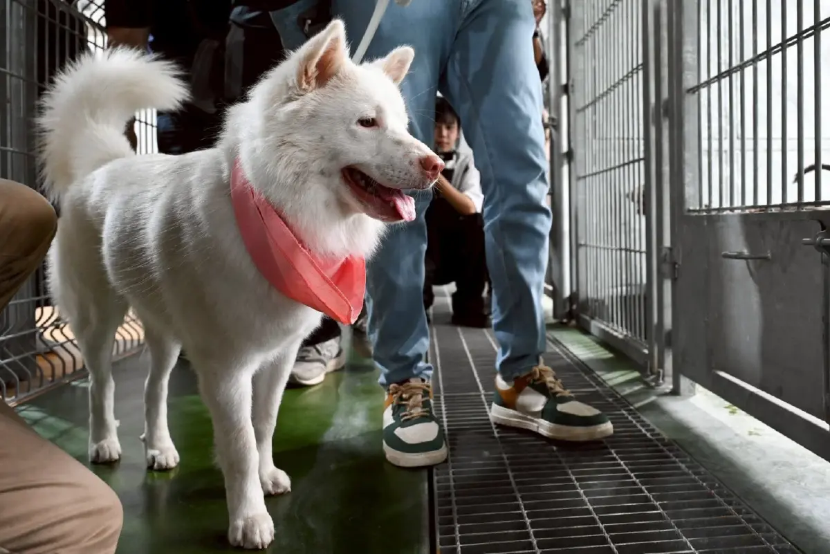 เปิด ‘บ้านน้องหมาน้องแมว ประเวศ’ พร้อมเติมเต็ม’ความสุข’ให้ทุกครอบครัว