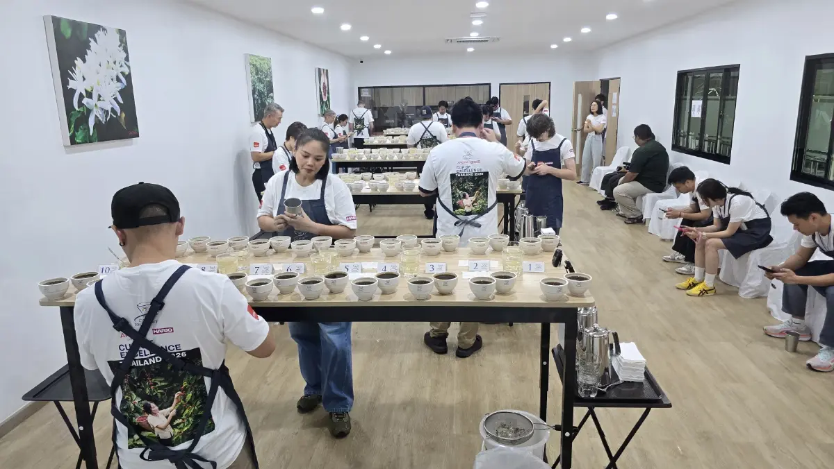 เจาะลึก ‘กาแฟไทย’ กลไกตลาด และการเดินทางสู่มาตรฐานสากล
