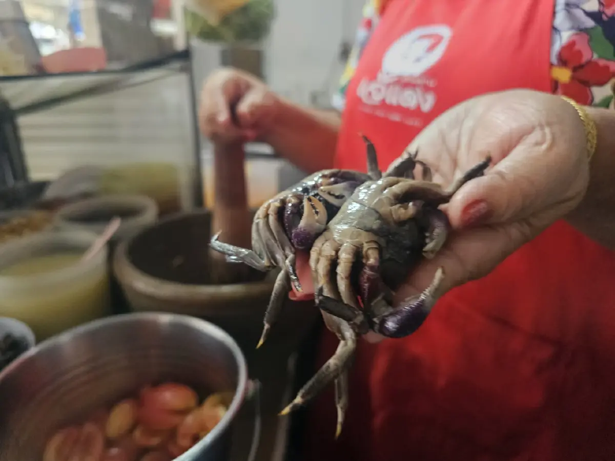 'เจ๊แดง สามย่าน' ตำนานร้านส้มตำมิชลินสตรีทฟู้ด  'คอหมูย่าง' นุ่มๆ