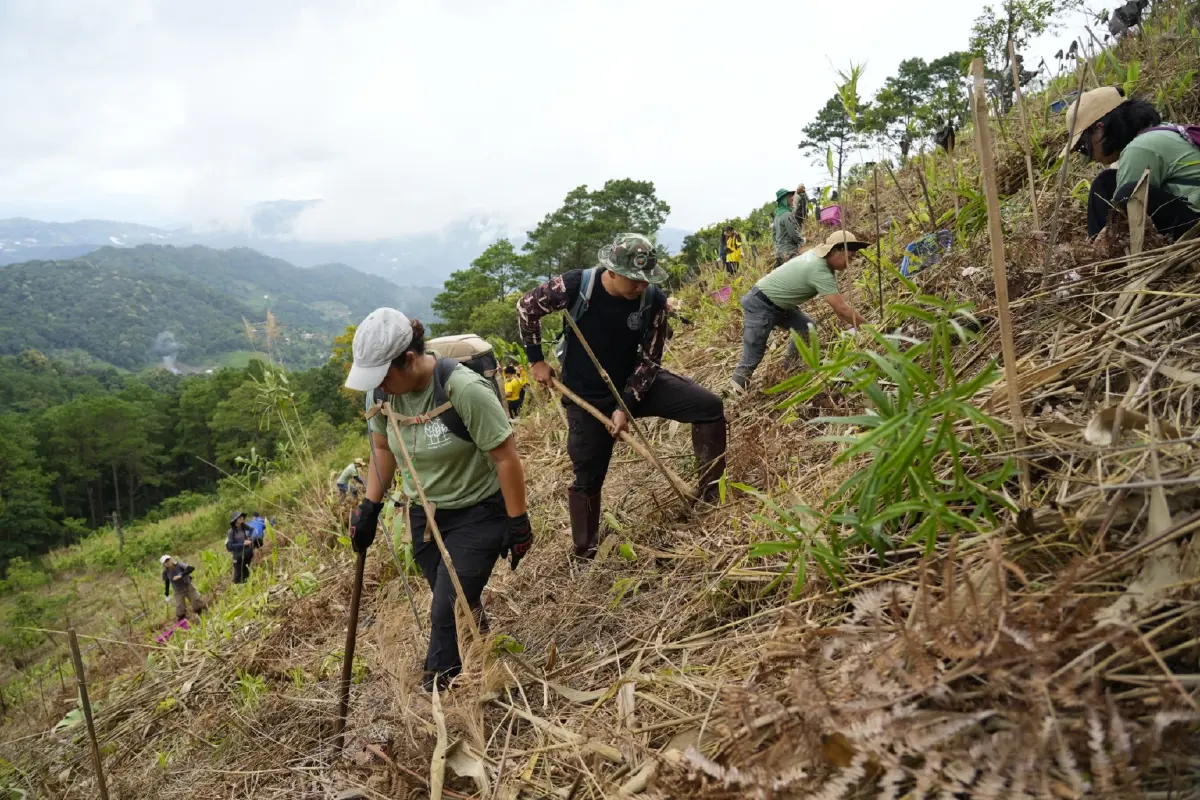 'ป่าดี ครีเอชัน' ผนึก FORRU มช. ชูโมเดลปลูกป่าวิทยาศาสตร์ ตอบโจทย์นักลงทุน